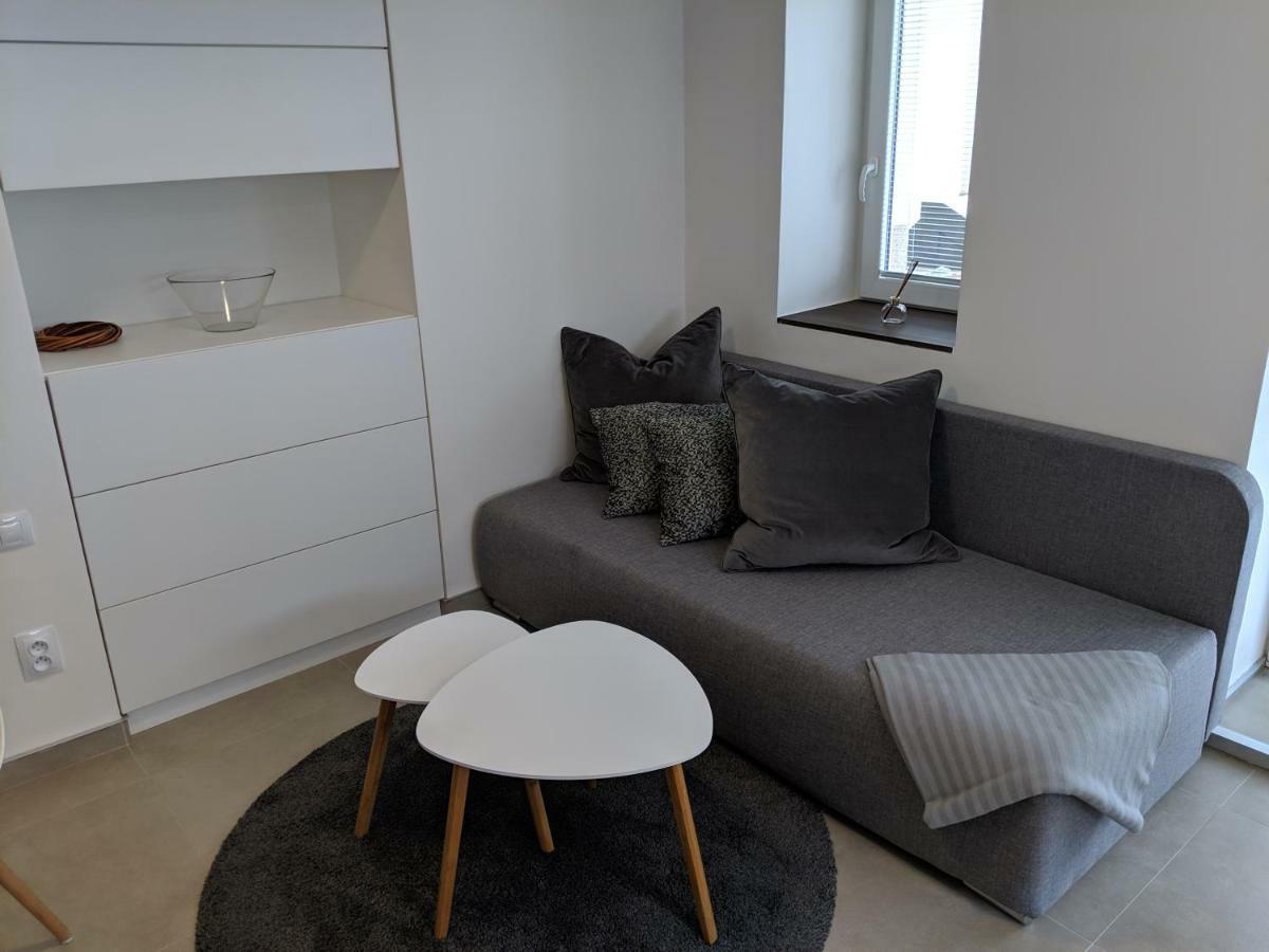 Ap10 - Apartments 4U Brezinova "Overnight Simply" Hradec Kralove Ngoại thất bức ảnh